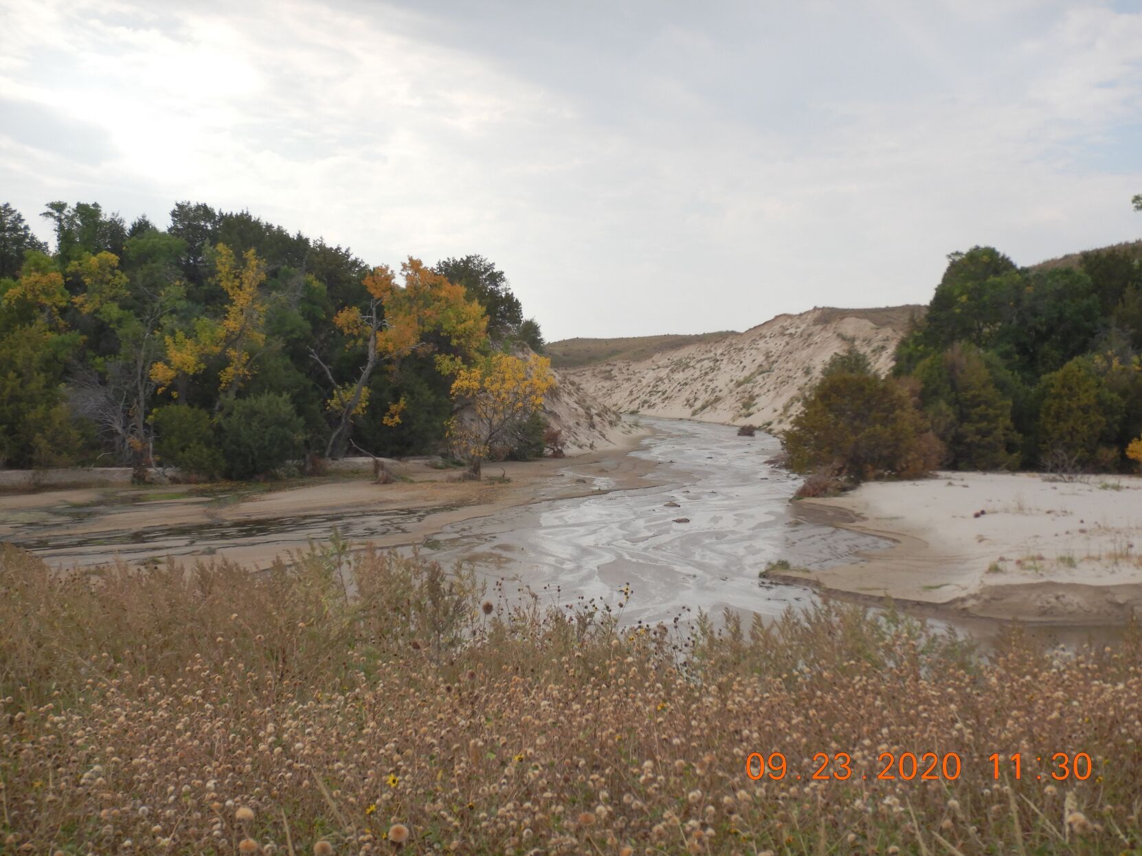 snakeriver2